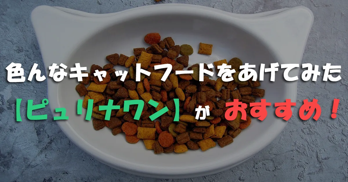 キャットフード比較！食いつき・健康面でおすすめな「ピュリナワン」をおトクに買おう！