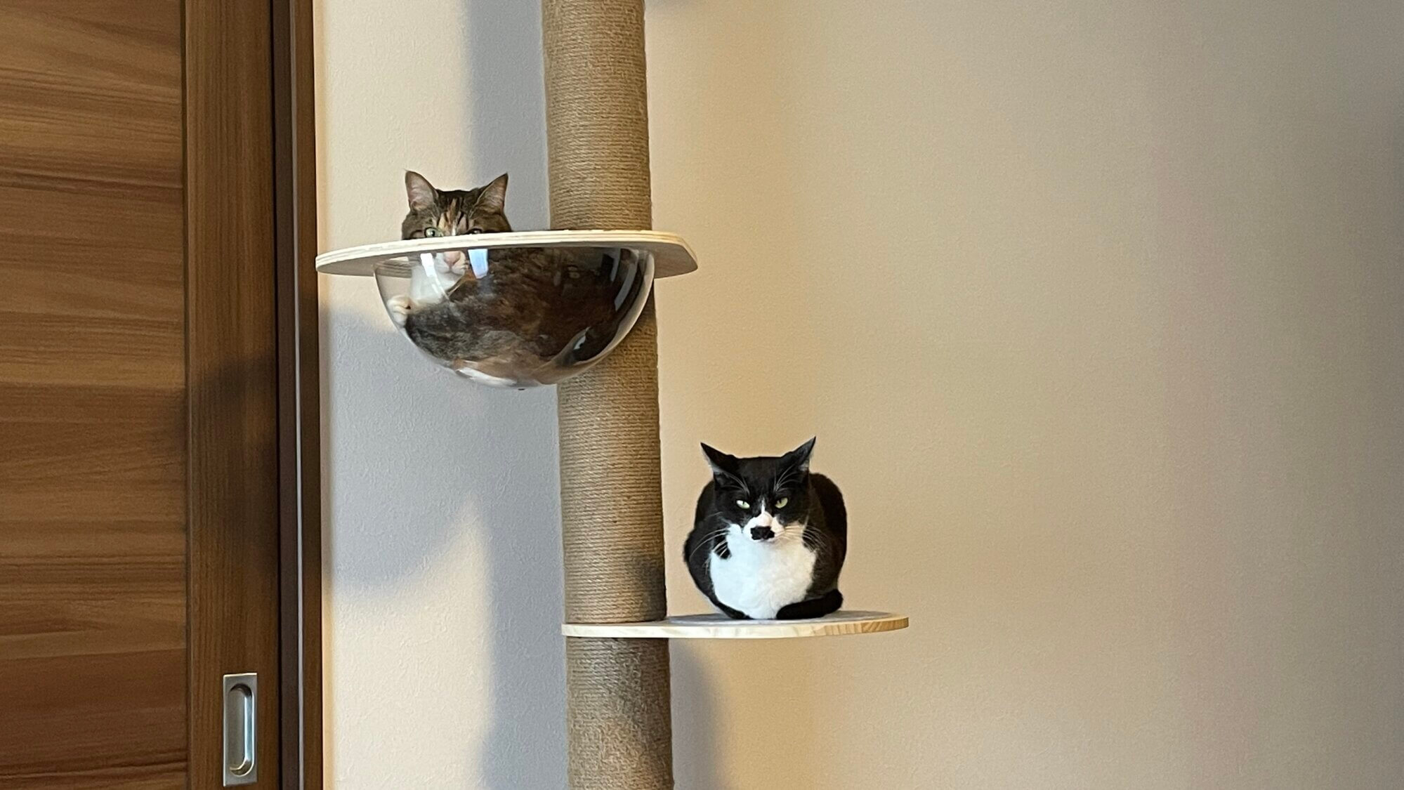 cat-goods-cat-tower