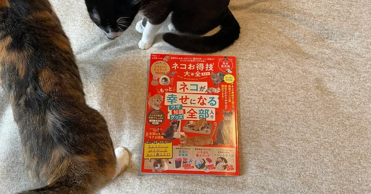 新・ねこグッズお気に入りまとめ！：数年の飼育経験と専門雑誌の情報に寄せて