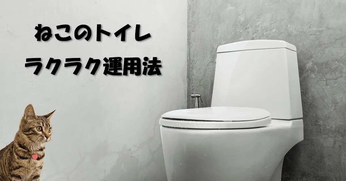 【超ラクで臭わない】ねこのトイレ問題解決テクニック